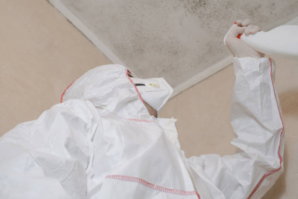 Best Crawl Space Mold Remediation  in USA